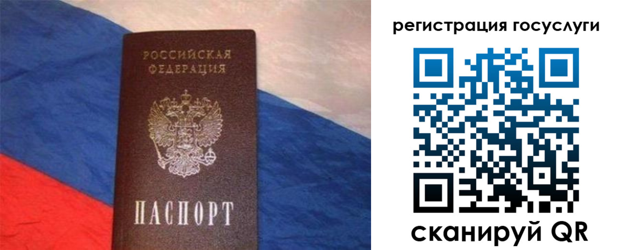 временная регистрация гарантия в Луге